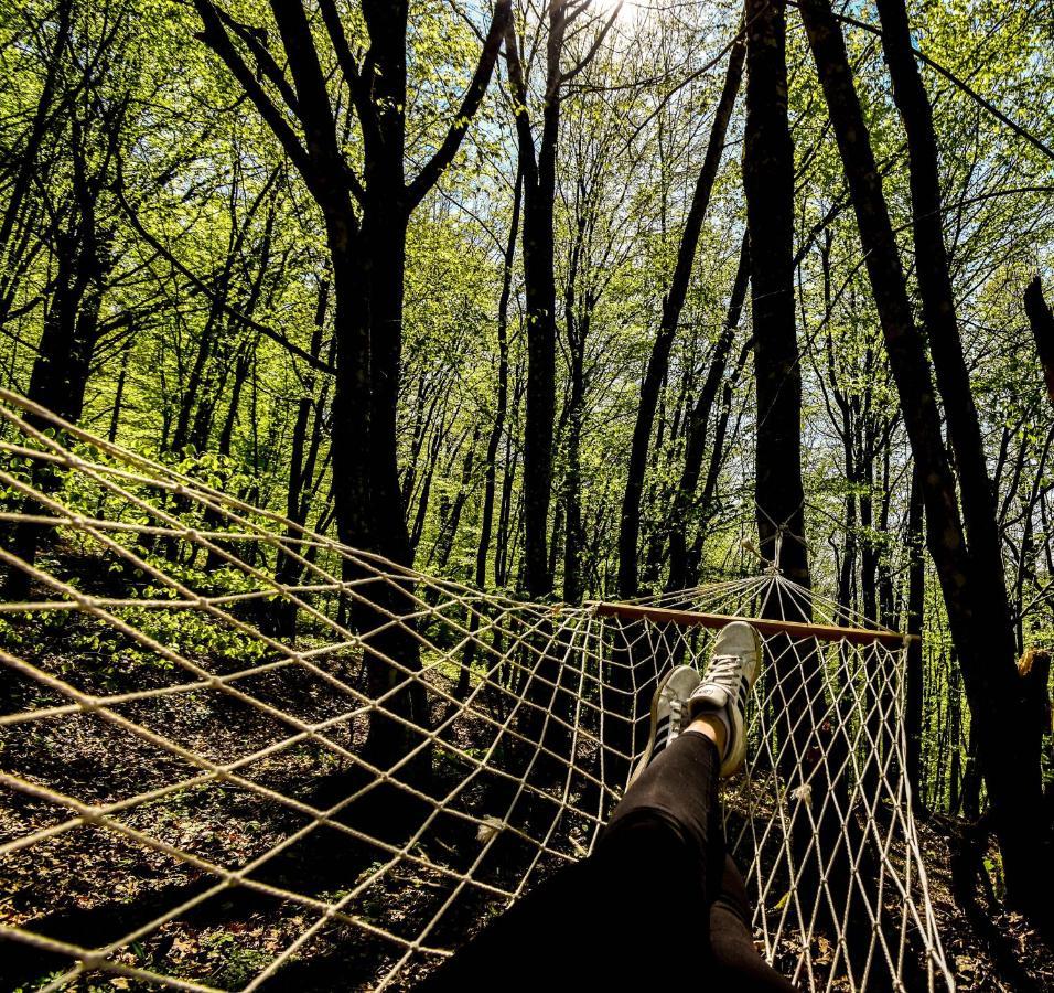 Robinzonski Turizam "Robin' S Hood" Skrad Luaran gambar