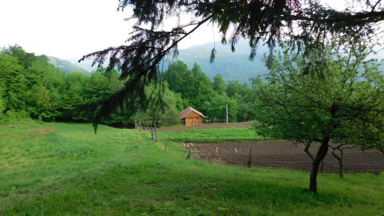 Robinzonski Turizam "Robin' S Hood" Skrad Luaran gambar